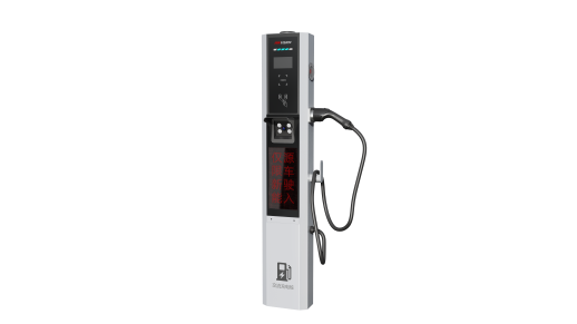 DS-TMP100-A1(HCJ)(4G) 视充一体桩