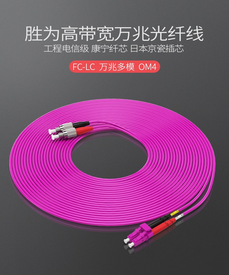 FLFO-2030 工程电信级万兆光纤跳线 LC-FC网线多模双芯OM4 网络收发器尾纤光纤连接线 3米