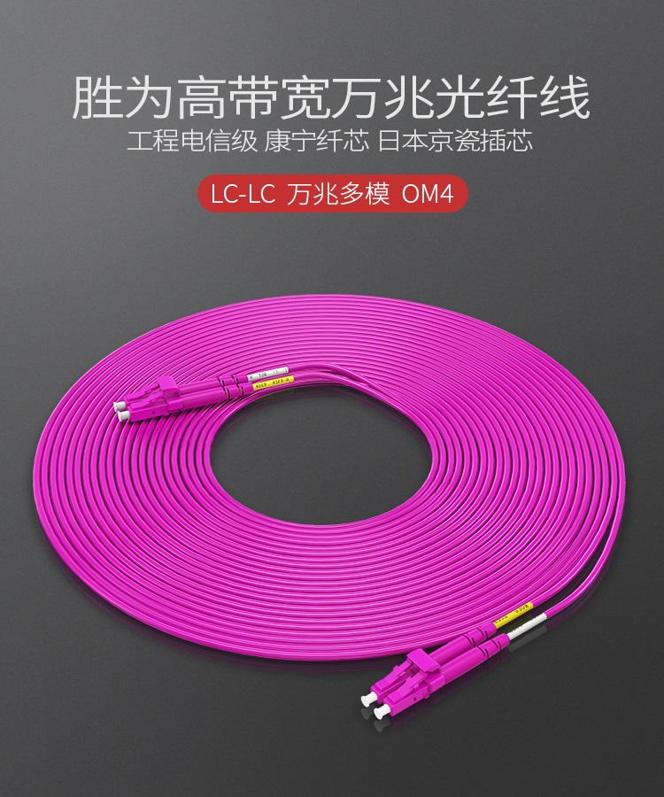 FLLO-2030 工程电信级万兆光纤跳线 LC-LC网线多模双芯OM4 网络收发器尾纤光纤连接线 3米