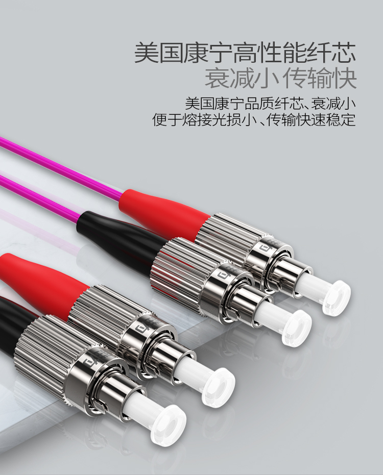 FFFO-2030 工程电信级万兆光纤跳线 FC-FC网线多模双芯OM4 网络收发器尾纤光纤连接线 3米