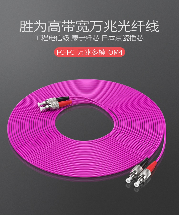 FFFO-2030 工程电信级万兆光纤跳线 FC-FC网线多模双芯OM4 网络收发器尾纤光纤连接线 3米