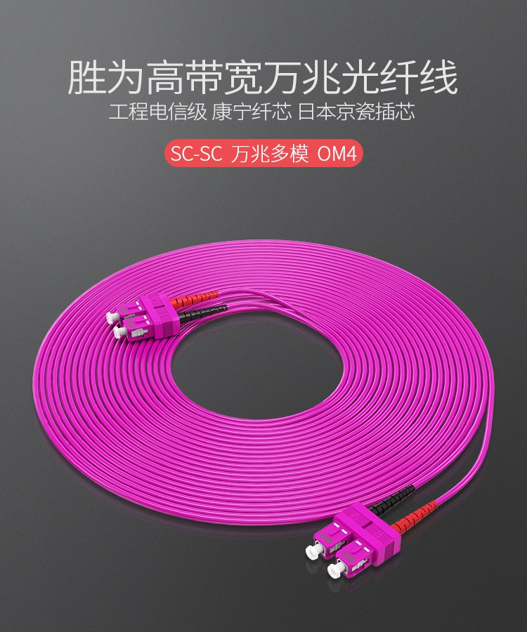 FCCO-2030 工程电信级万兆光纤跳线 SC-SC网线多模双芯OM4 网络收发器尾纤光纤连接线 3米