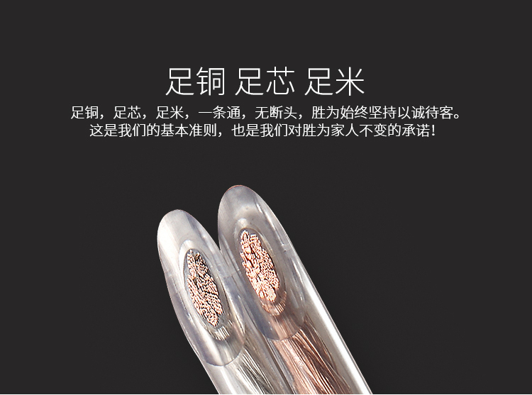 AEC-2100 发烧级纯铜音箱线 2*200芯 100米音频线 功放音响喇叭车载连接线 HIFI专业线材