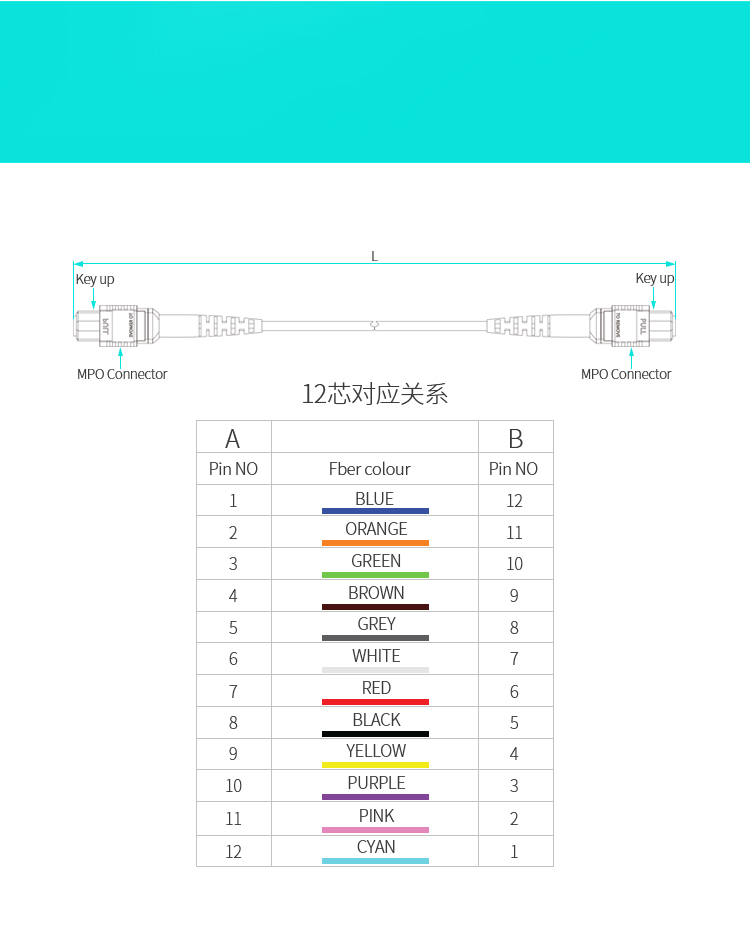 光纤跳线MPO母头12芯 3米 网线多模OM4万兆40G光模块集束光纤 FMPP-1203